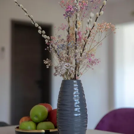 Διαμέρισμα Apartman Petra